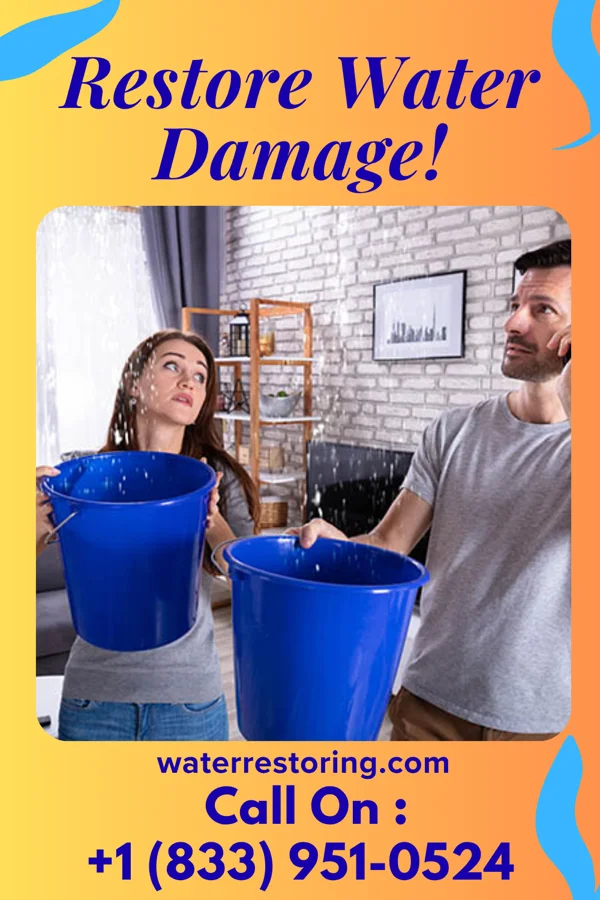 water restoration Ultimate Flood Damage Solutions Pine Lake Park
