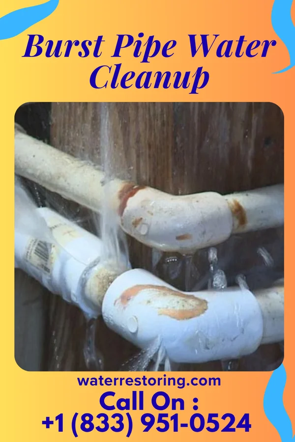 Burst Pipe Water Cleanup in Pine Lake Park, NJ