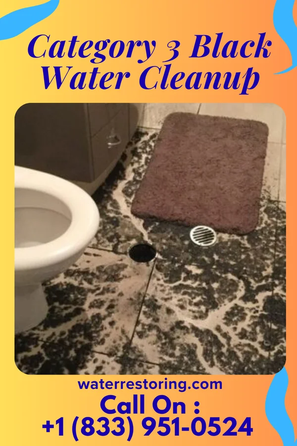 Category 3 Black Water Cleanup in Pine Lake Park, NJ
