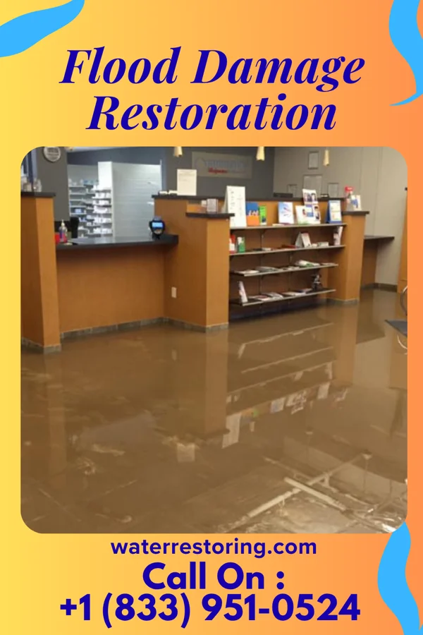 Flood Damage Restoration in Pine Lake Park, NJ