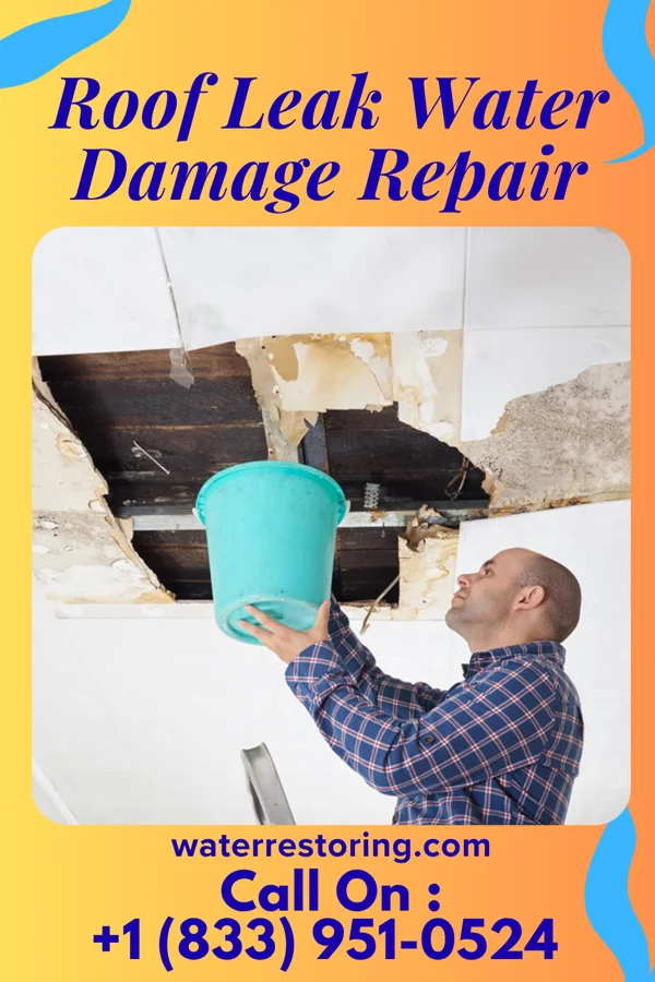 Roof Leak Water Damage Repair in Pine Lake Park, NJ