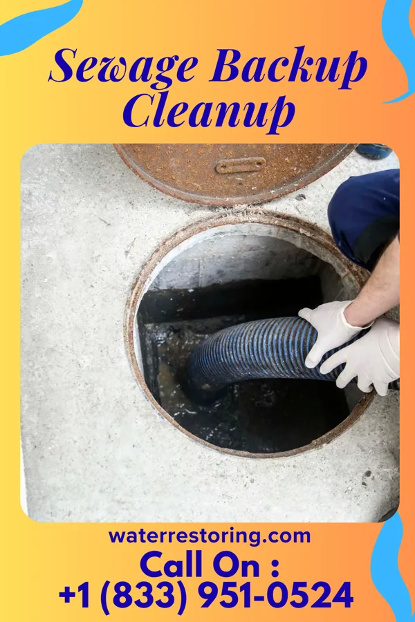 Sewage Backup Cleanup in Pine Lake Park, NJ