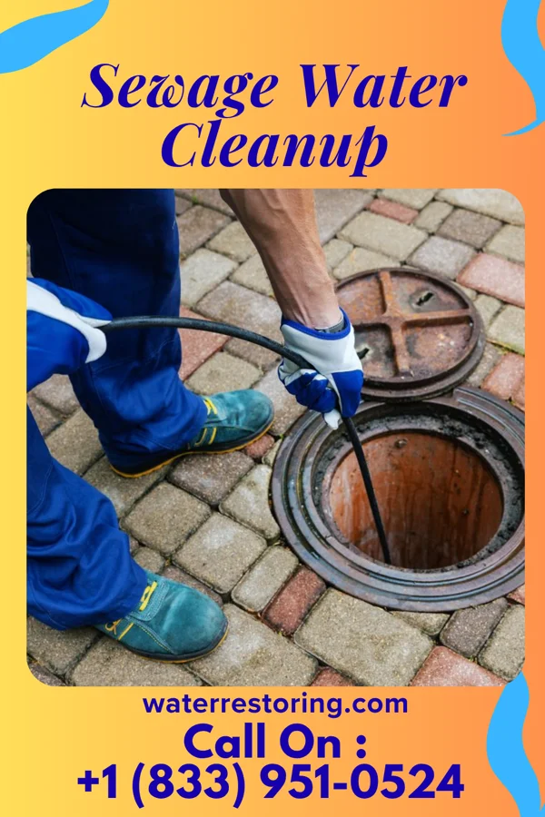 Sewage Water Cleanup in Pine Lake Park, NJ